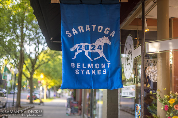 Saratoga Tea and Honey