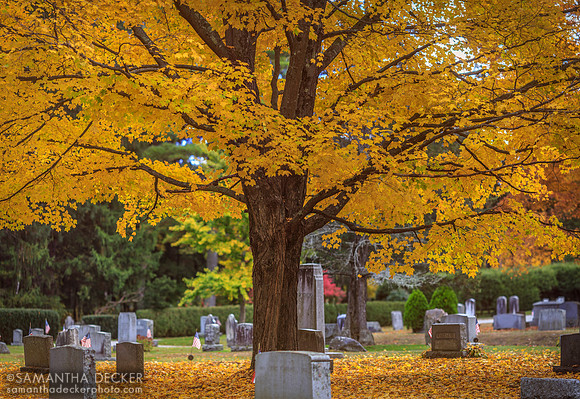 Stockbridge Cemetery, Stockbridge, MA