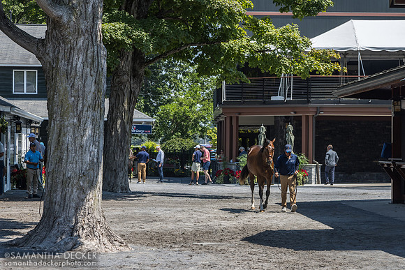Fasig-Tipton, 2026