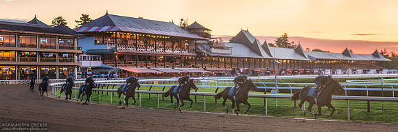 Trajectory of a Horse and Rider, Saratoga Race Course