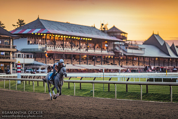 Essential Quality Warming Up at Saratoga Race Course