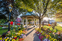 Summer Flowers by Hathorn Spring