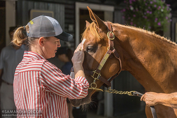 Lynn Hancock and a Curlin - Chapel colt, 2026