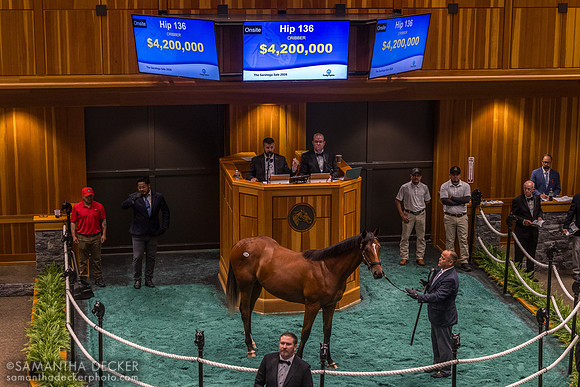 Into Mischief - All American Dream colt, the 2026 sales topper
