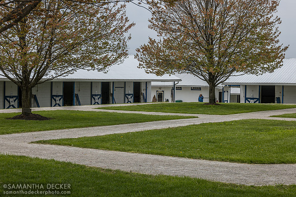 Magdalena Farm, Lexington KY