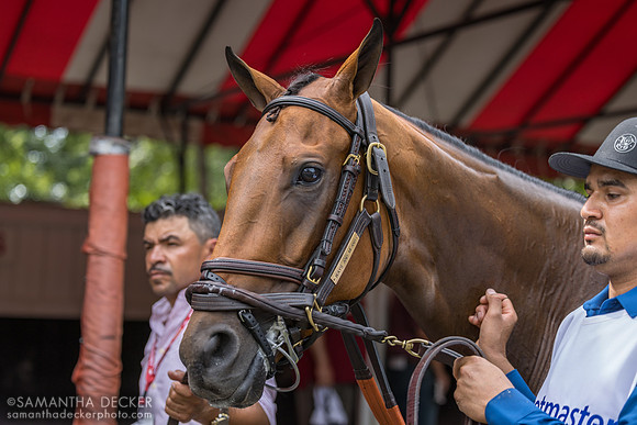 Ways and Means, winner of the Test S.