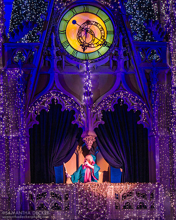 Fairy Godmother, Magic Kingdom