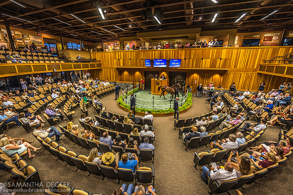 Fasig-Tipton