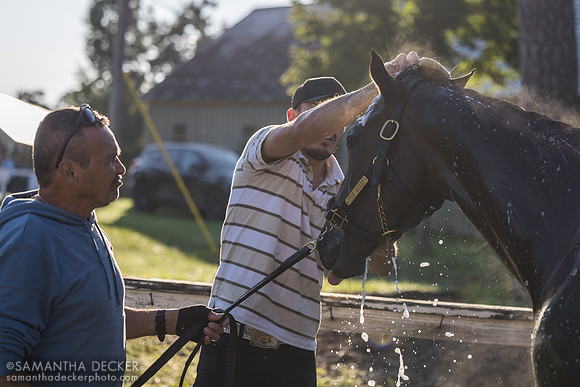 Turf Rocket, Trombetta barn
