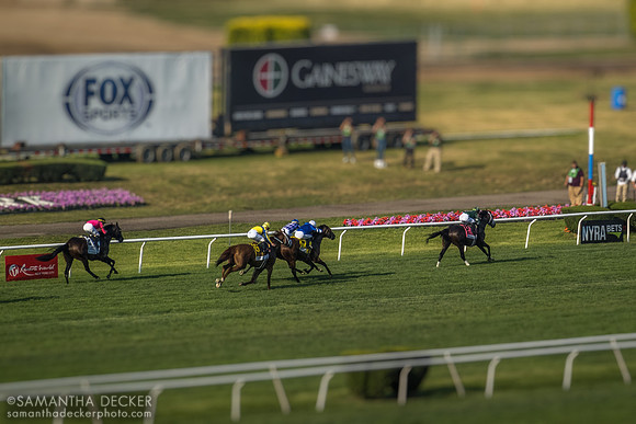 Grade I Manhattan Stakes, Belmont Park, Elmont, NY