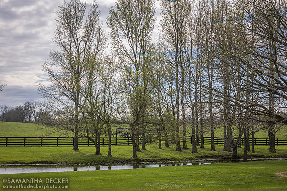 Gainsborough Farm, Versailles, KY