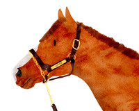 Justify