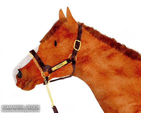Justify