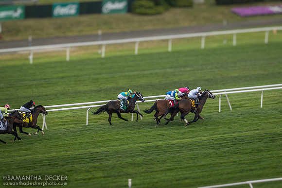 Grade III Poker Stakes, Belmont Park, Elmont, NY