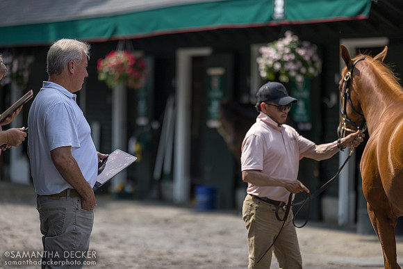 Wesley Ward looks at a yearling