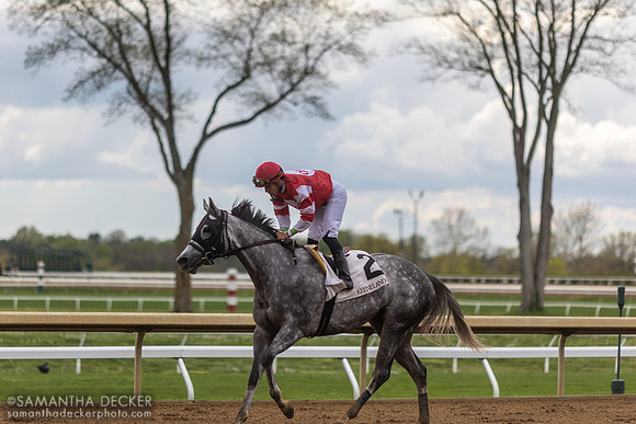Irad Ortiz, Jr. rides Travel Column