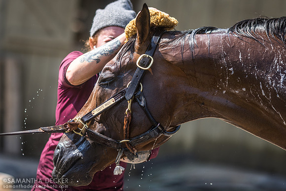 Cody's Wish, Oklahoma Training Track, 2015