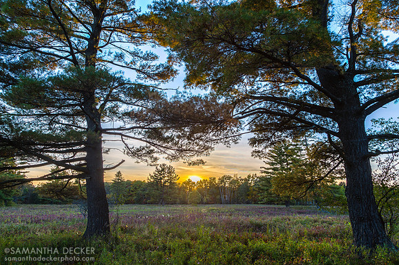 Saratoga Battlefield