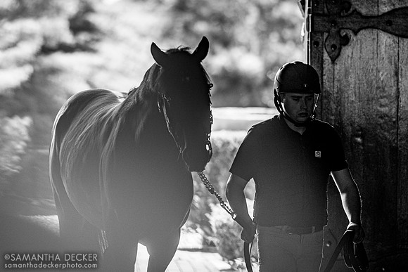 Epicenter at Coolmore at Ashford Stud