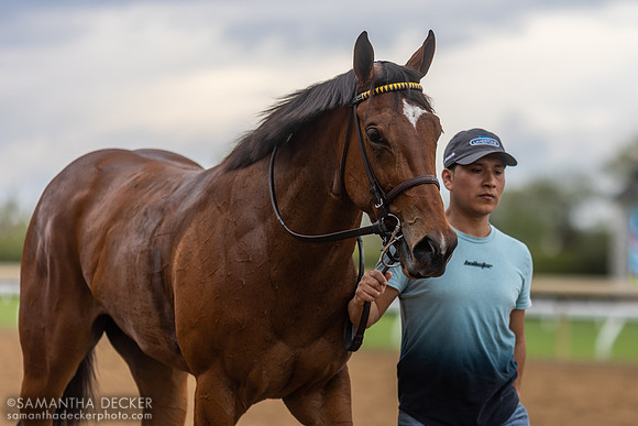 Love Reigns after winning the Limestone S.