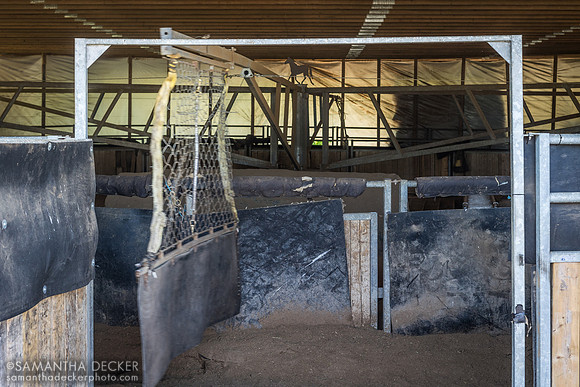 Song Hill Thoroughbreds