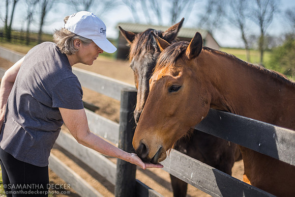 Old Friends, Georgetown, Kentucky