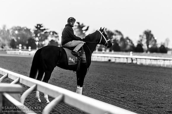 Jockey Florent Géroux on a Brad Cox charge