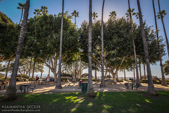 Palisades Park, Santa Monica,