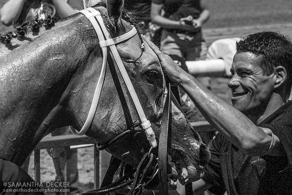 Next gets a pet, Belmont Park, Elmont, NY