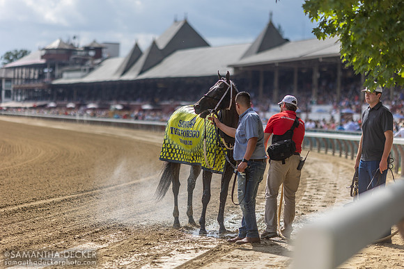 Gunite wins the Grade I Forego Stakes