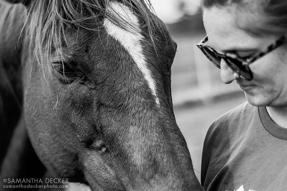 Athene, Therapeutic Horses, Saratoga Springs, NY