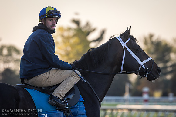 Jockey Florent Géroux on a Brad Cox charge