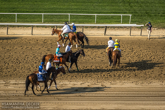 Belmont Park, Elmont, NY