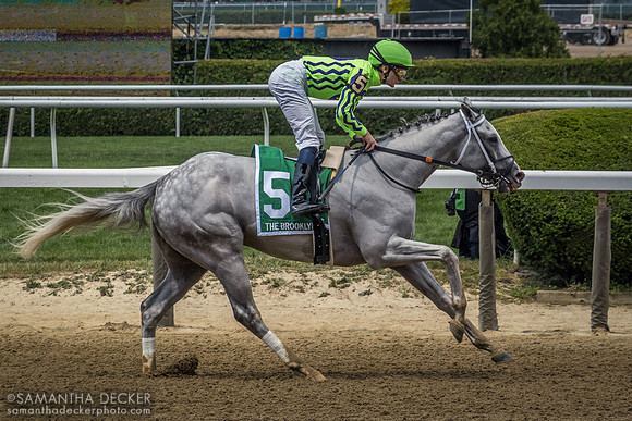 Next wins the Grade II Brooklyn Stakes, Belmont Park, Elmont, NY