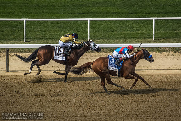 Arabian Lion wins the Grade I Woody Stephens Stakes, Belmont Park, Elmont, NY