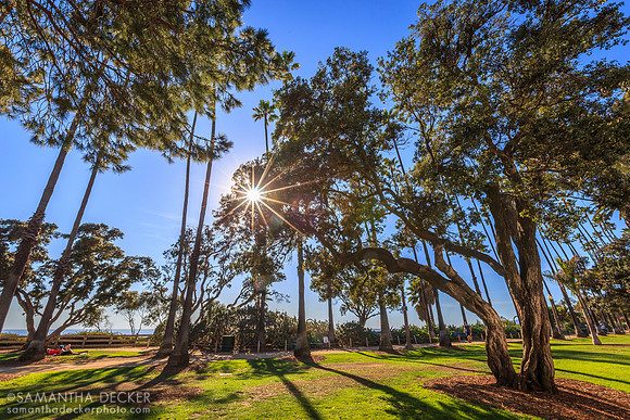 Palisades Park, Santa Monica, CA