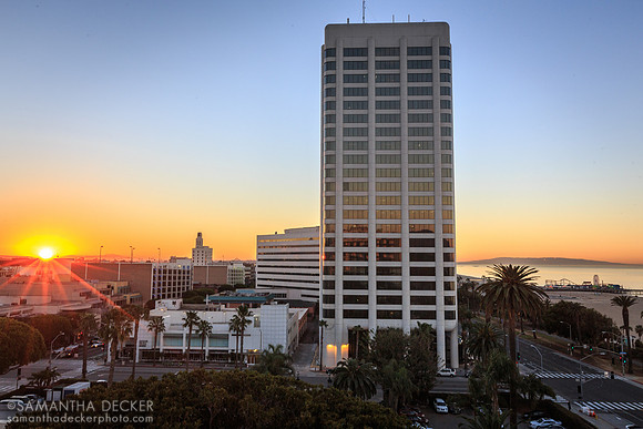 View from the Fairmont Miramar Hotel, Santa Monica, CA