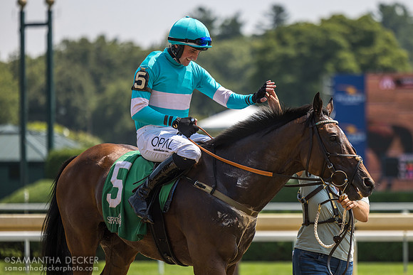 Jimmy P wins the Jonathan Sheppard H.