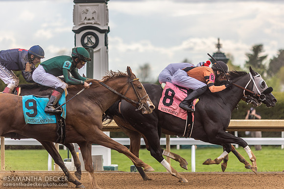 Praise and Honor wins an allowance optional claiming with Joseph Rocco, Jr. onboard