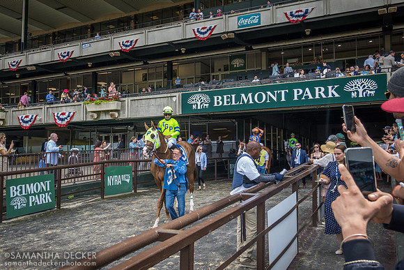 Alfio, Belmont Park, Elmont, NY