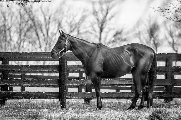 Gainsborough Farm, Versailles, KY