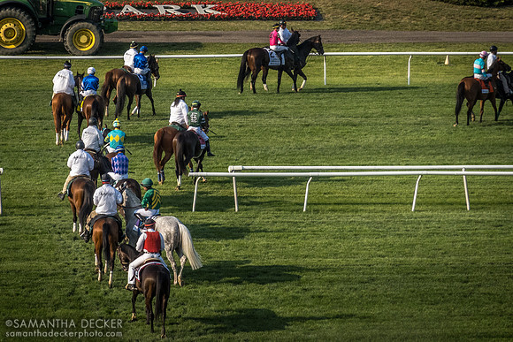 Belmont Park, Elmont, NY