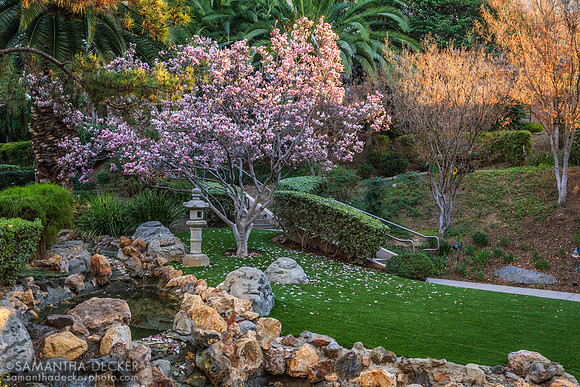 Japanese Gardens, Langham Huntington Pasadena, California
