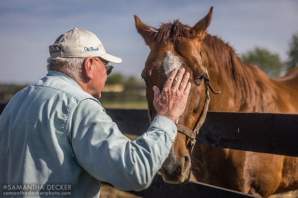 Old Friends, Georgetown, Kentucky