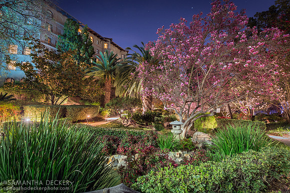 Japanese Gardens, Langham Huntington Pasadena, California