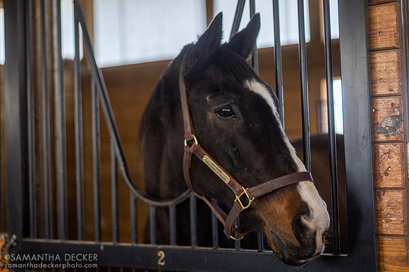 Lava Man, Old Friends, Georgetown, Kentucky