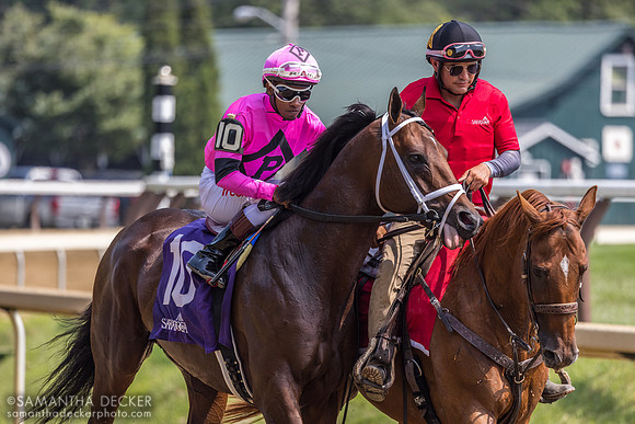 Game Warden, winner of R5