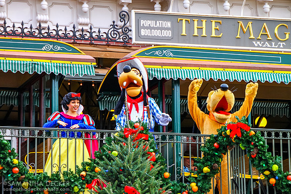 Rope Drop Confetti, Magic Kingdom