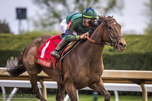 Distinctlypossible wins an allowance race with Tyler Gaffalione onboard, 2023
