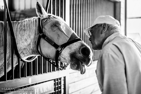 Michael Blowen and Silver Charm, Old Friends, Georgetown, Kentucky